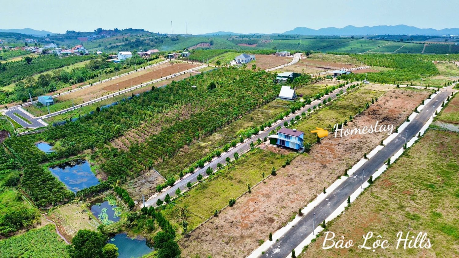 z7290923364020-78e2b2c7679aff86c6849ac1c734a979