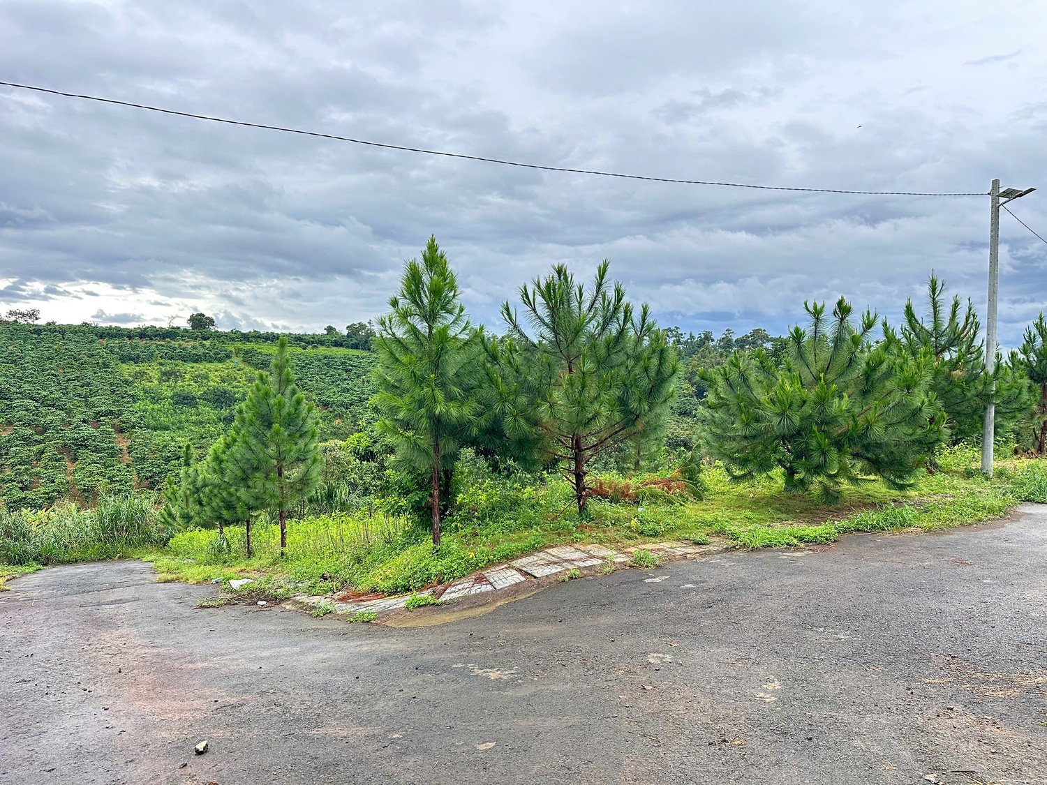 z7291315745915-7d4367f674be2914c03bc0bd6f01e80a