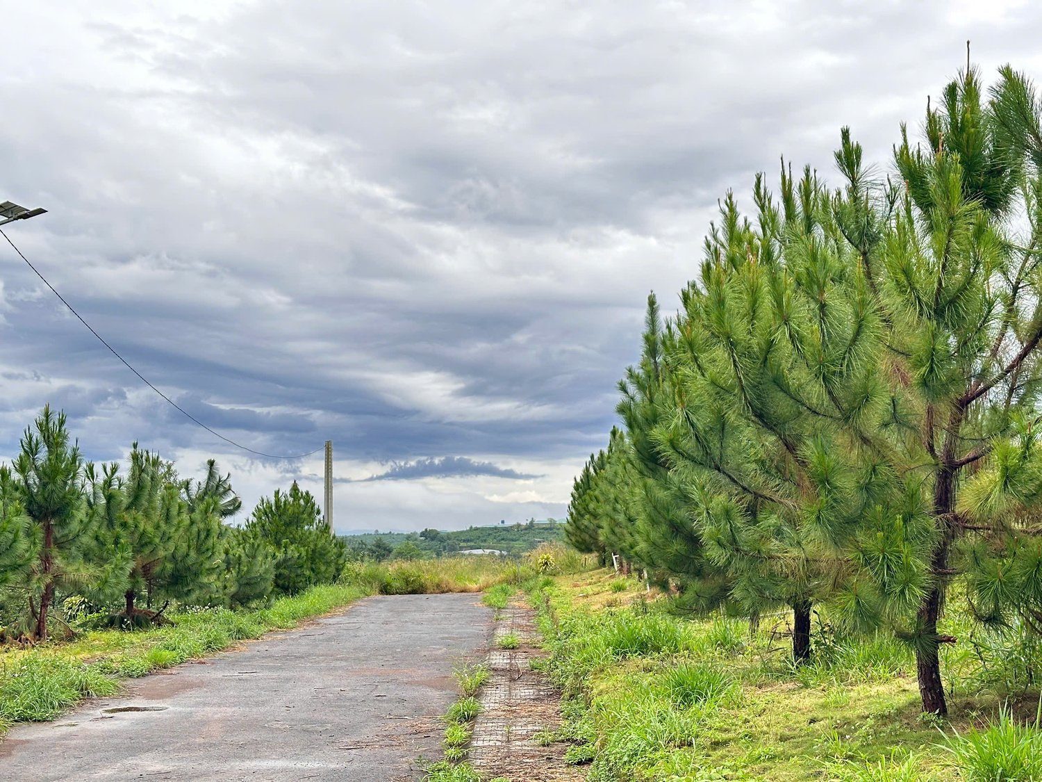 z7291315750189-155fc4e154ab22d5d431cc399e627a54