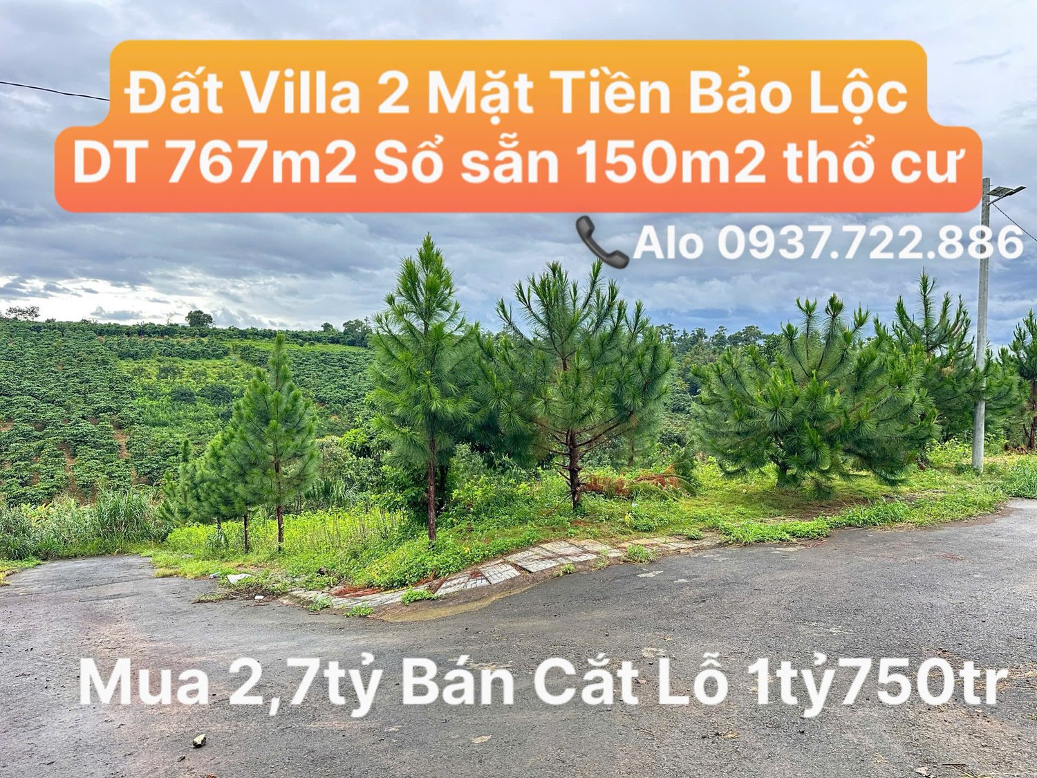 z7291342010202-513da3f8f32659c251d5bd635a78f6a9