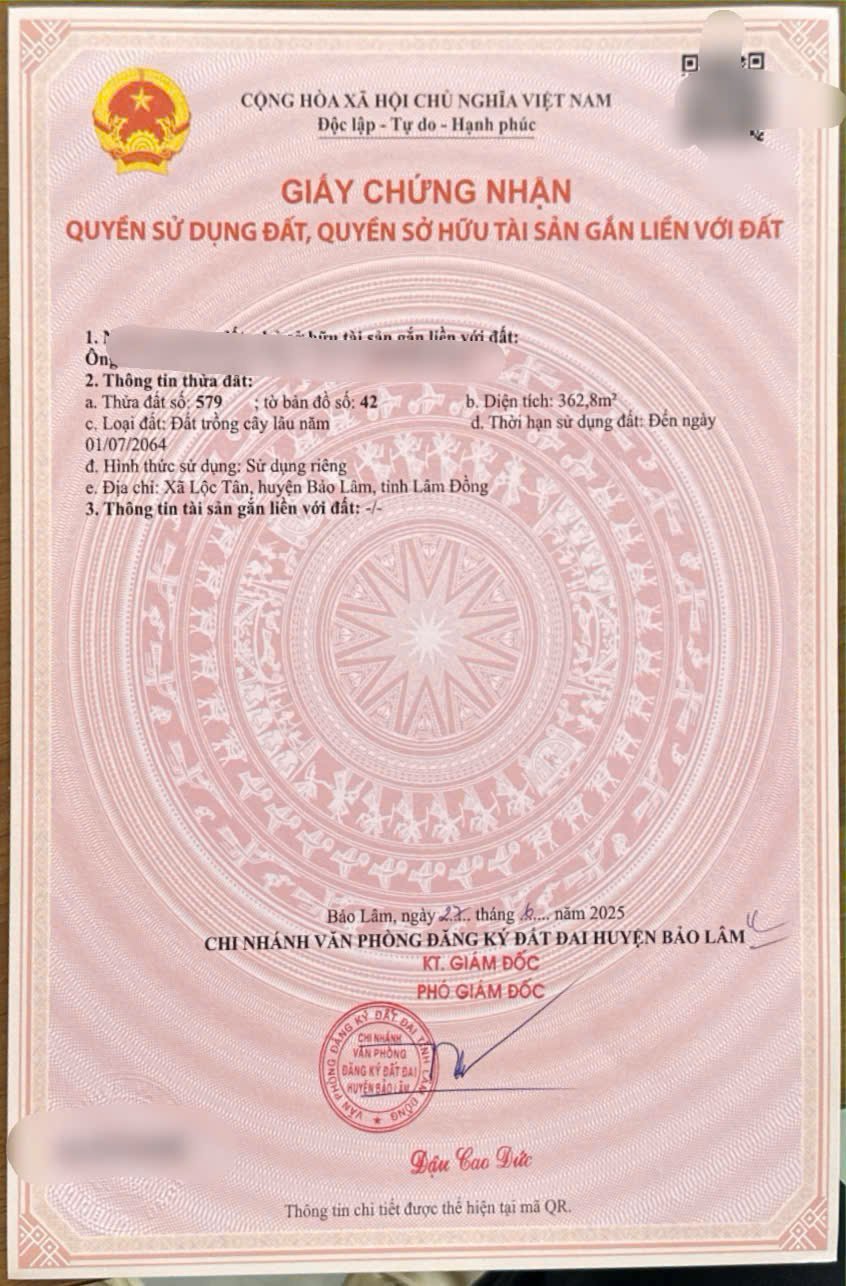 z7293514926952-c7897ea391b2911ee62231f218c3bd9b