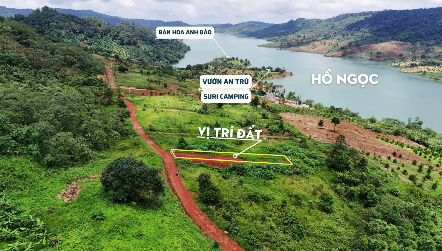 z7293537971845-8d0d95b41d9346fdb6c11c517582b082