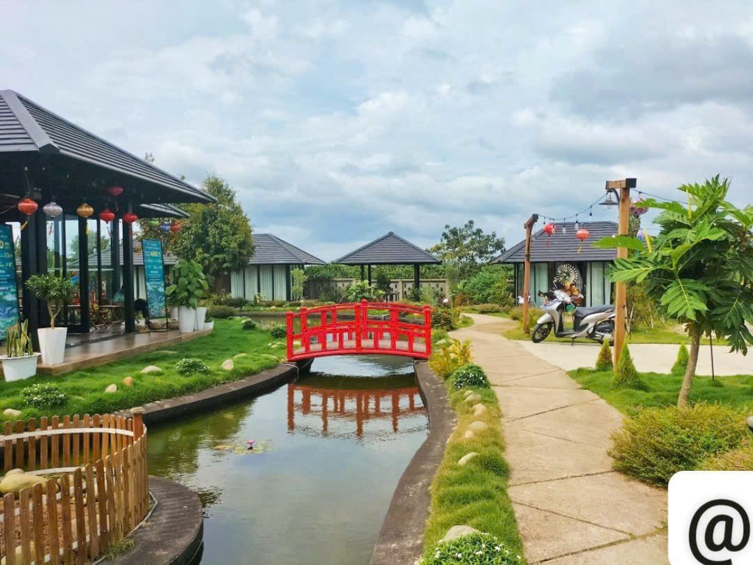 z7297933419956-598d68f020dc45b98e286b2bddf4ea55