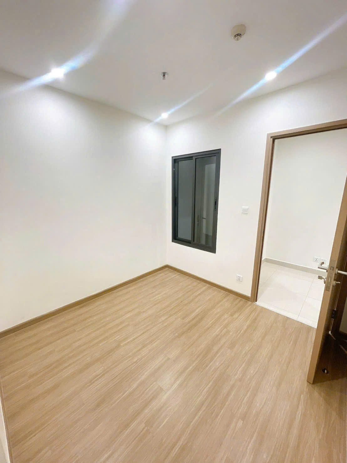 z7370507842129-07ae3f5845225a4ac23e4642394e9e79