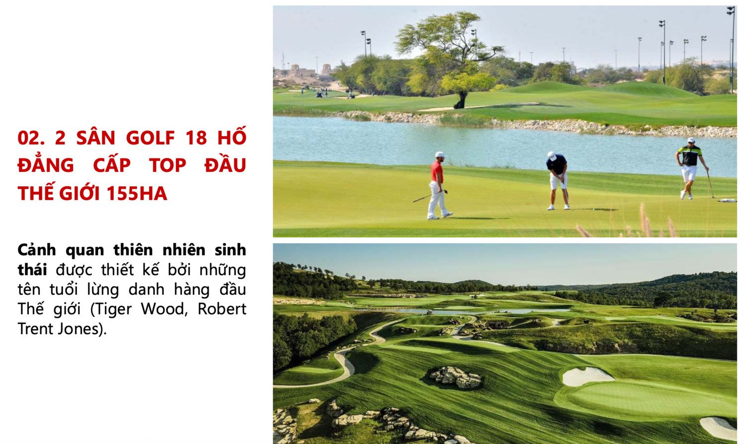 anh-man-hinh-2026-01-27-luc-13-55-36