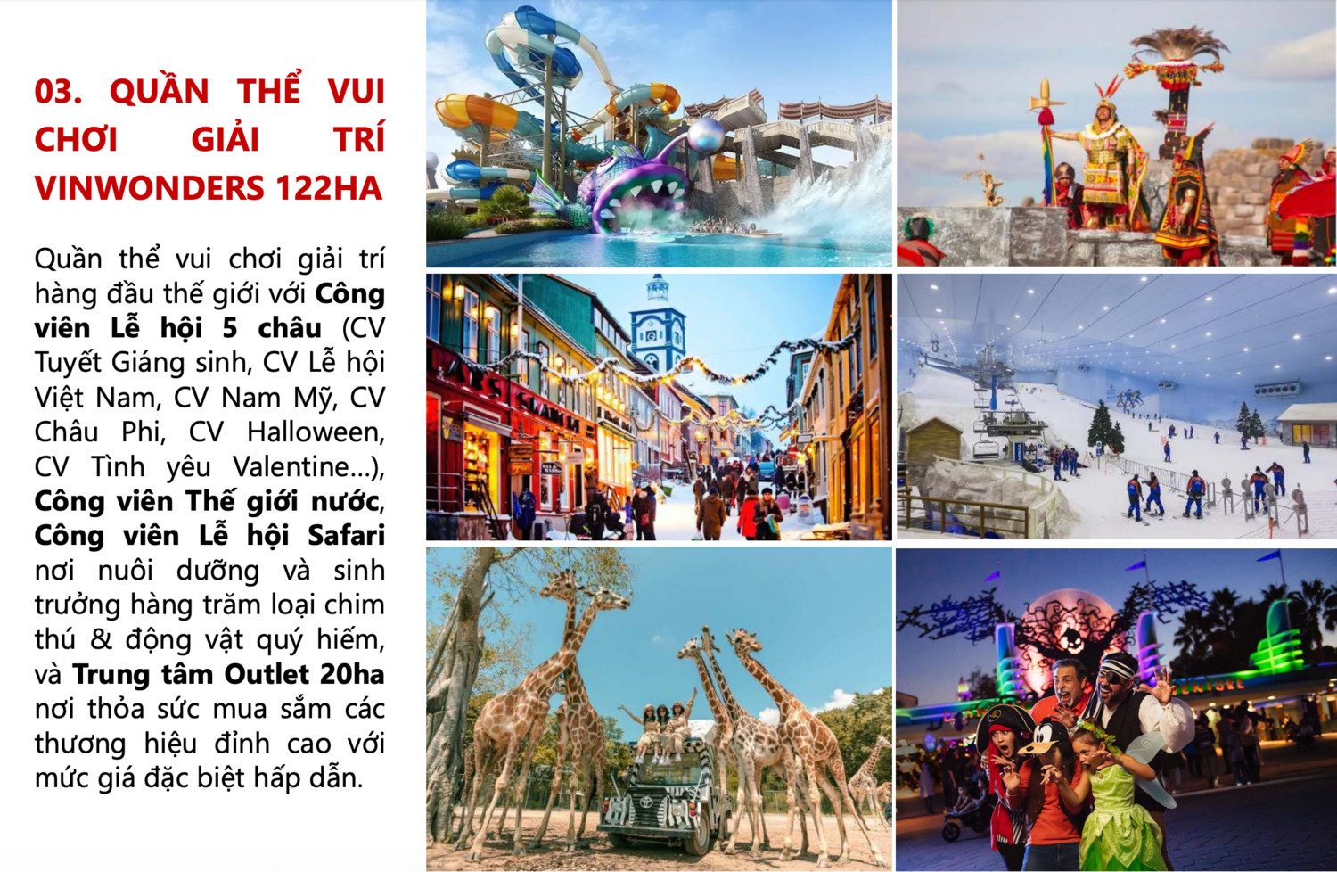 anh-man-hinh-2026-01-27-luc-13-55-58