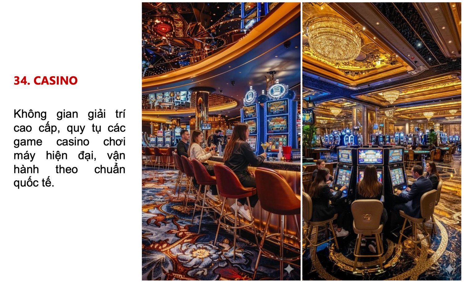 anh-man-hinh-2026-01-27-luc-14-05-15