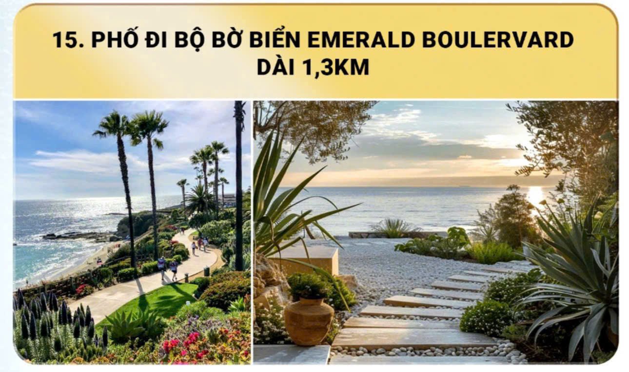 z7603572806425-5e3e573ad09bdee498f8f362778b4acc