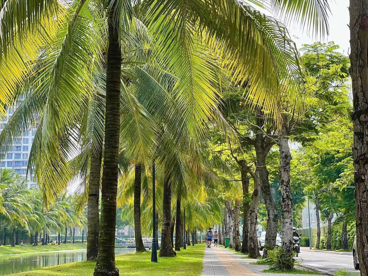 z7605757353789-a43073f3bf67a6087960a1e5514ff09a