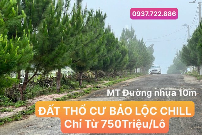 ĐẤT THỔ CƯ BẢO LỘC CHILL CHỈ 750TRIỆU/LÔ - SỔ SẴN THỔ CƯ 100%!!