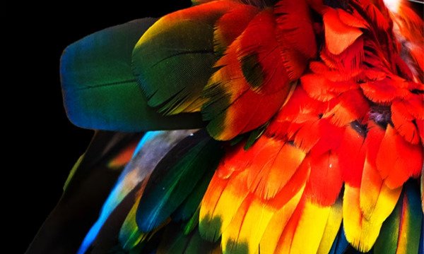 smart tivi oled lg 4k 48 inch oled48a3psa.atv