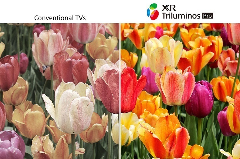google tivi sony xr-85x90l 4k 85 inch