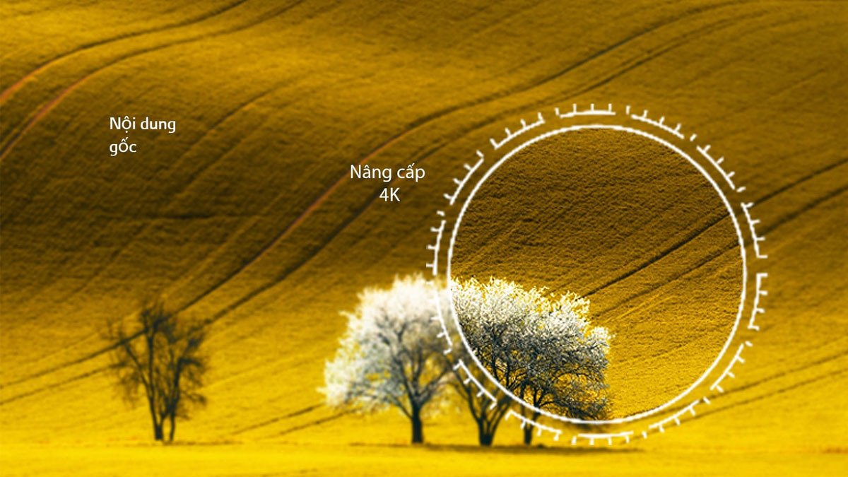 smart tivi lg 4k 65 inch 65ur8050psb