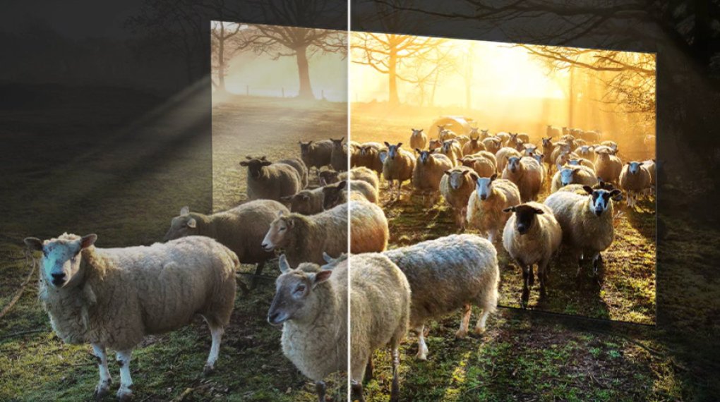 smart tivi samsung qa75qn800c neo qled 8k model 2023