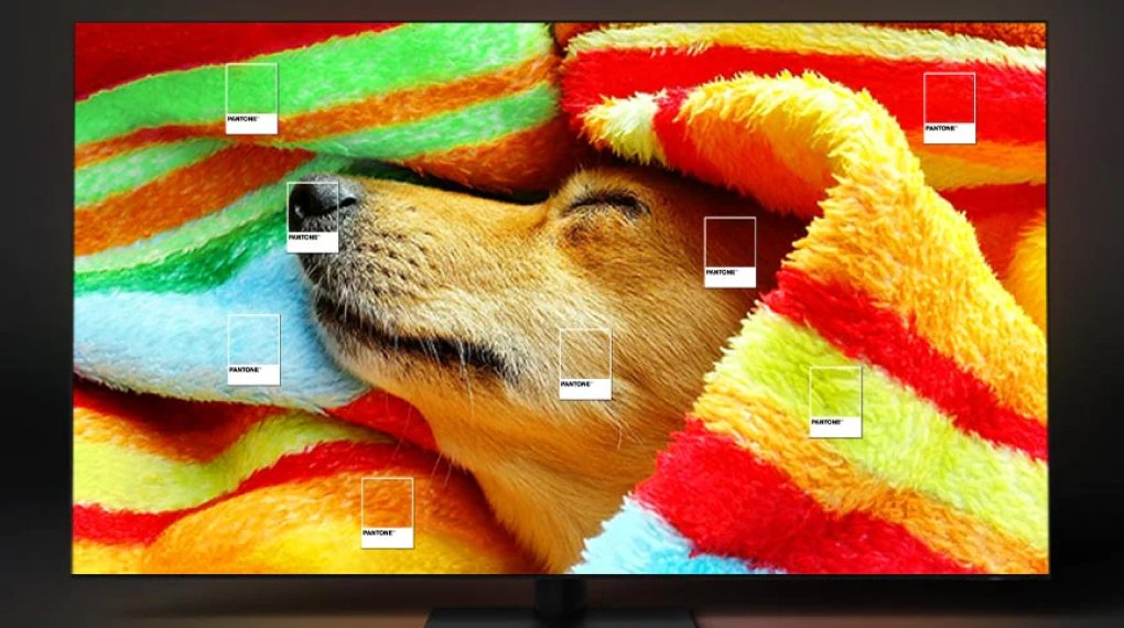 tivi neo qled 4k 55 inch samsung 55qn90ca