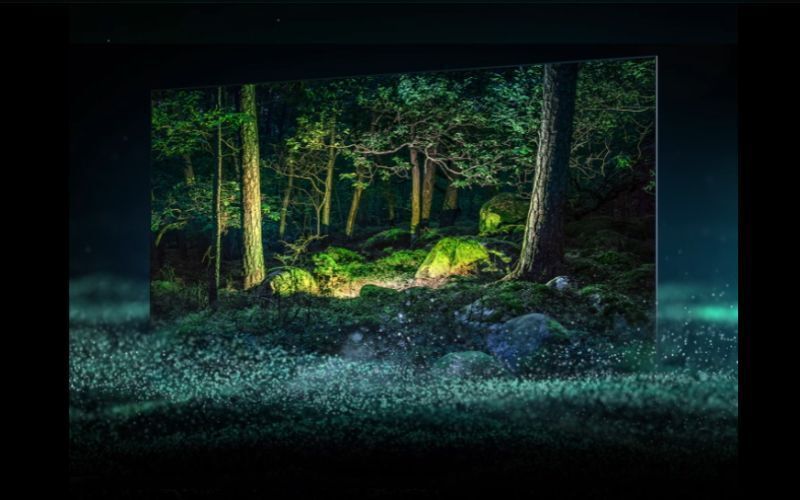 smart tivi samsung oled 4k 55 inch qa55s95b