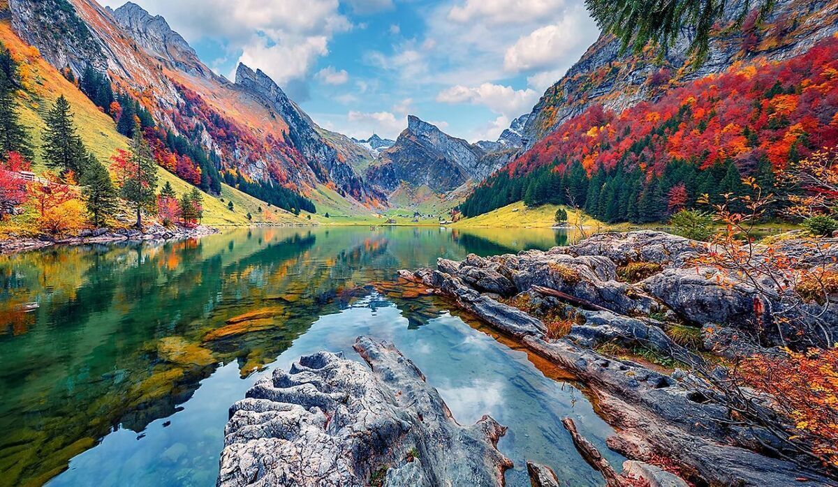 google tivi sony 4k 75 inch kd-75x80l (model 2023)