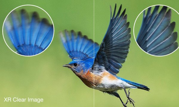 google tivi sony 4k 65 inch xr-65x95l