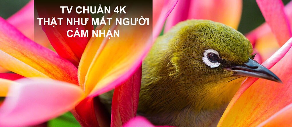 tivi sony 75 inch 4k kd-75x85l