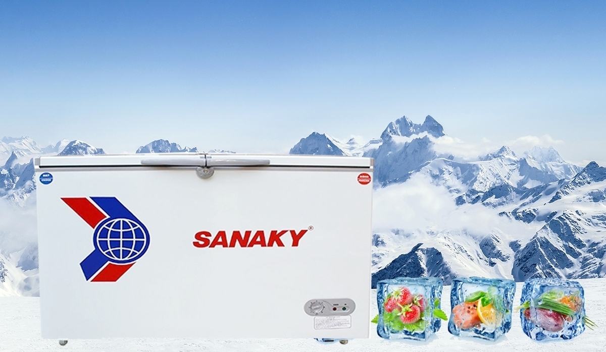 tủ đông sanaky 260 lít vh-365w2