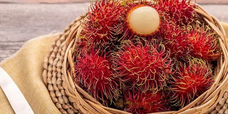 tủ lạnh electrolux 94 lít eum0930ad-vn