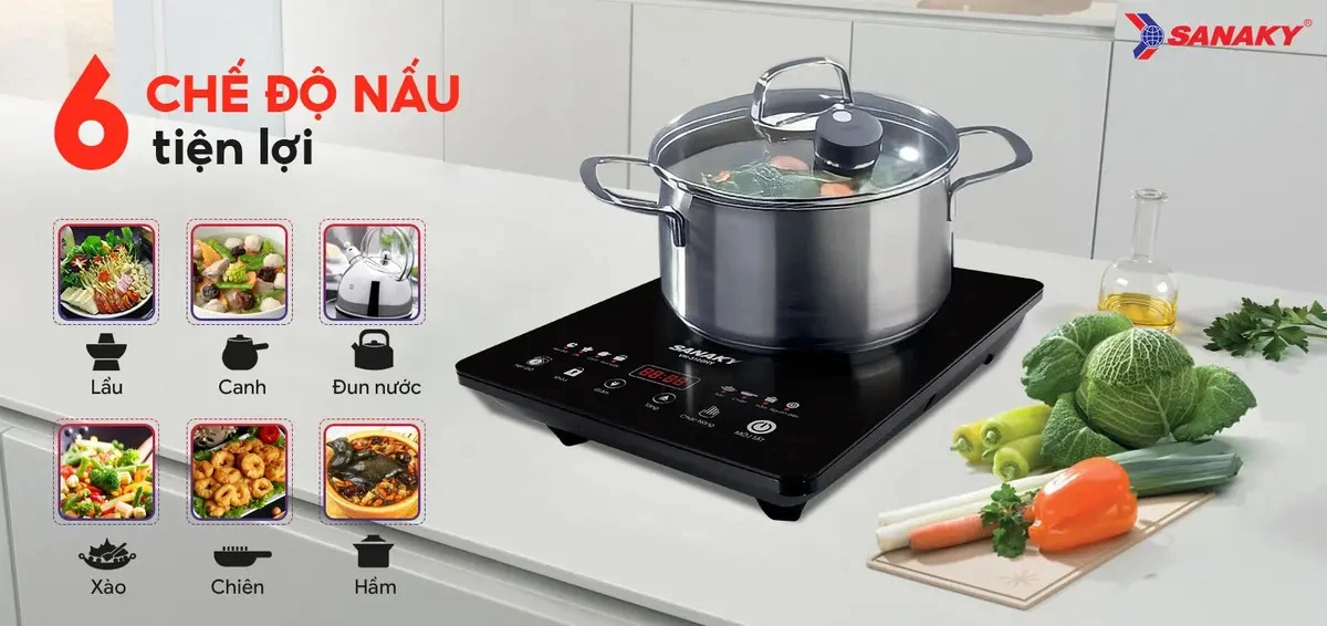 bếp từ đơn sanaky vh-3100hy