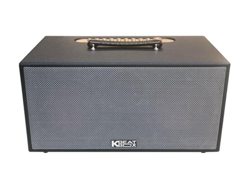 loa xách tay acnos cs450sr (2 bass 16.5cm, 150w, kèm 2 micro)