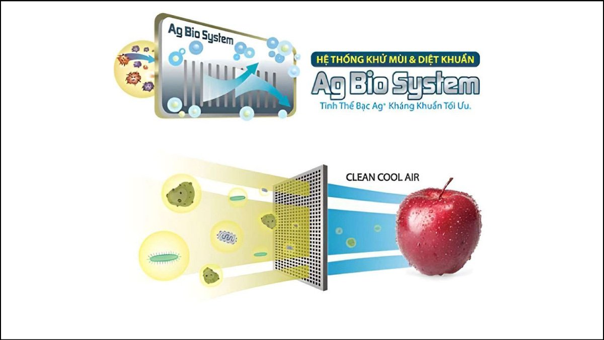 tủ lạnh toshiba inverter 233 lít gr-rt303we-pmv(52)