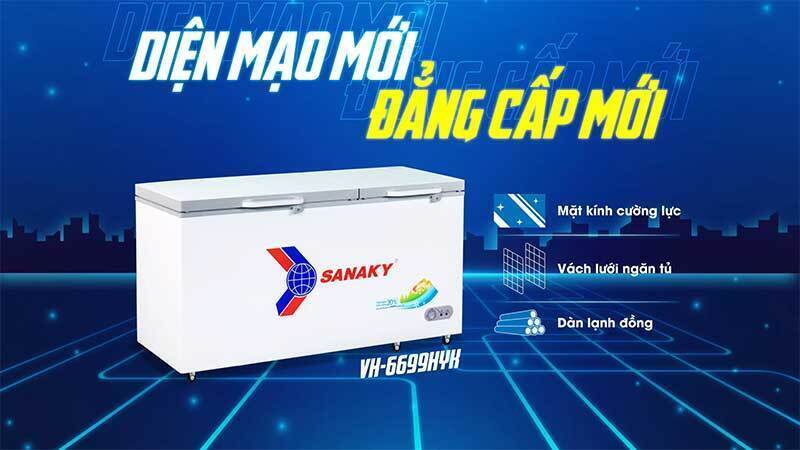 tủ đông sanaky vh-6699hyk
