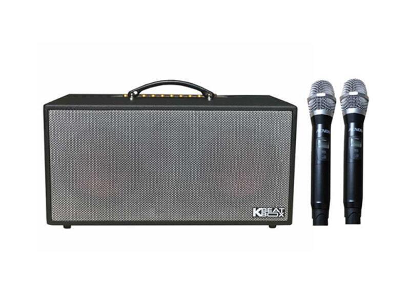 loa xách tay acnos cs450sr (2 bass 16.5cm, 150w, kèm 2 micro)
