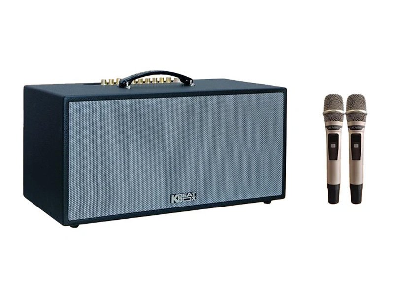 loa xách tay acnos cs451 (2 bass 20cm, 250w/1000w, kèm 2 micro)