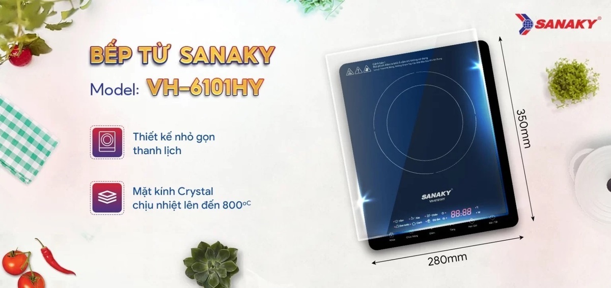 bếp từ đơn sanaky vh-6101hy