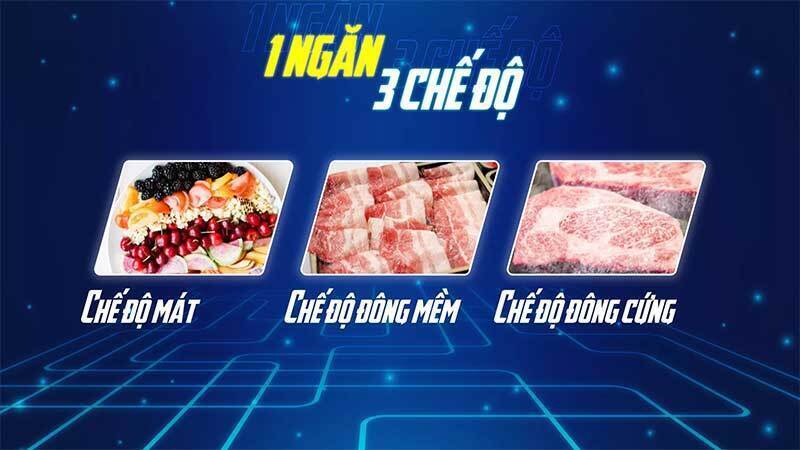 tủ đông sanaky vh-6699hyk