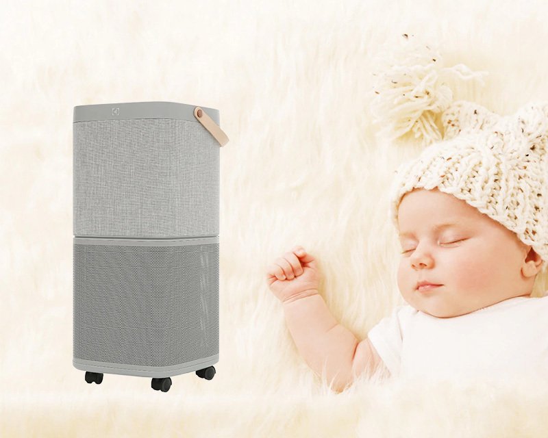 máy lọc không khí electrolux pa91-406gy