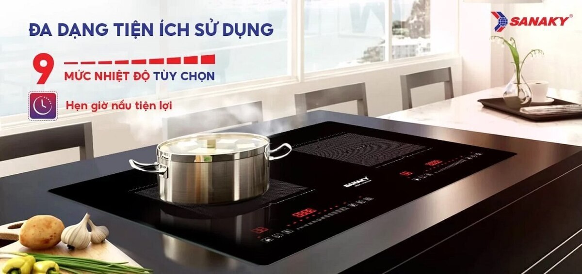 bếp từ đôi sanaky vh-8101hy