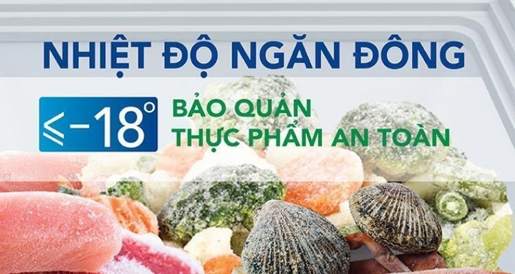 tủ đông hòa phát hcf 506s2đ2sh 205l