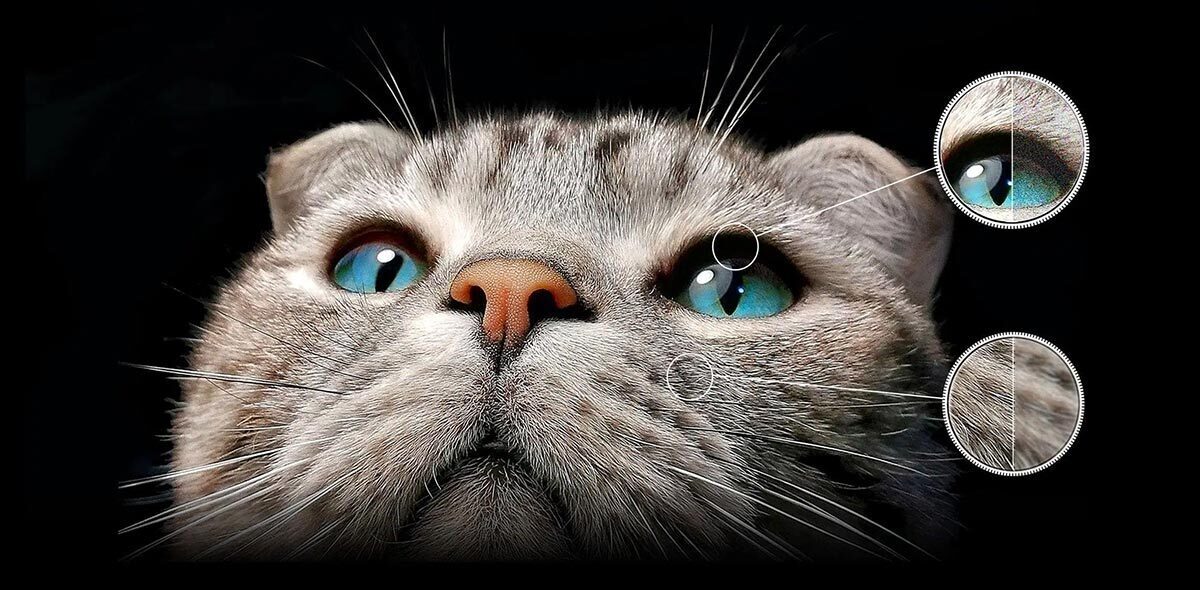 google tivi tcl qd-mini led 4k 98 inch 98c755