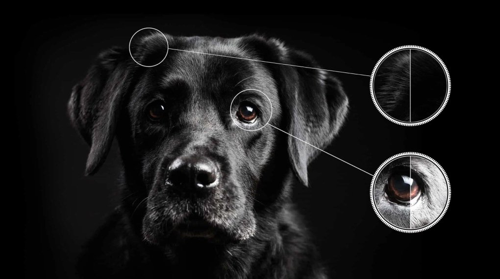 google tv qd-mini led tcl 4k 85 inch 85c755