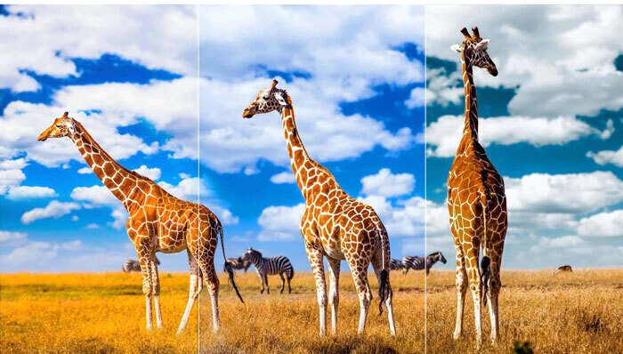 google tivi tcl 4k 50 inch 50p745