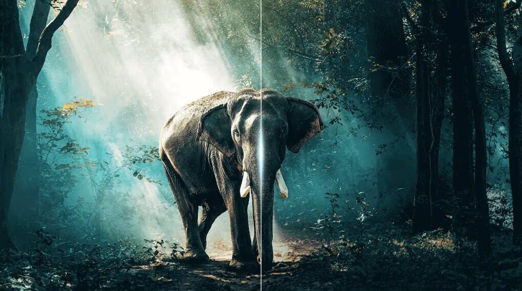 google tv tcl 4k 55 inch 55p79b pro