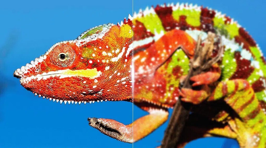 google tv tcl 4k 55 inch 55p79b pro