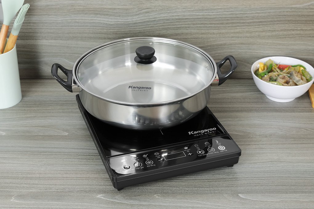 bếp từ kangaroo kg18ic1
