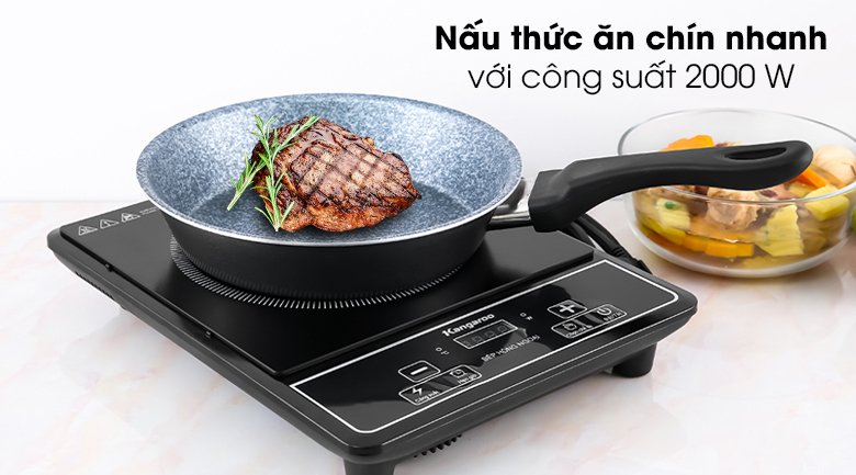 bếp hồng ngoại kangaroo kg20ifp1