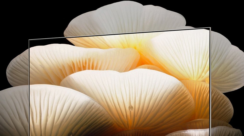 smart tivi oled evo posé lg 4k 55 inch 55lx1tpsa