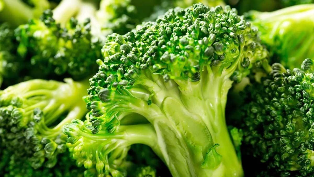 tủ lạnh electrolux inverter 341 lít etb3760m-h