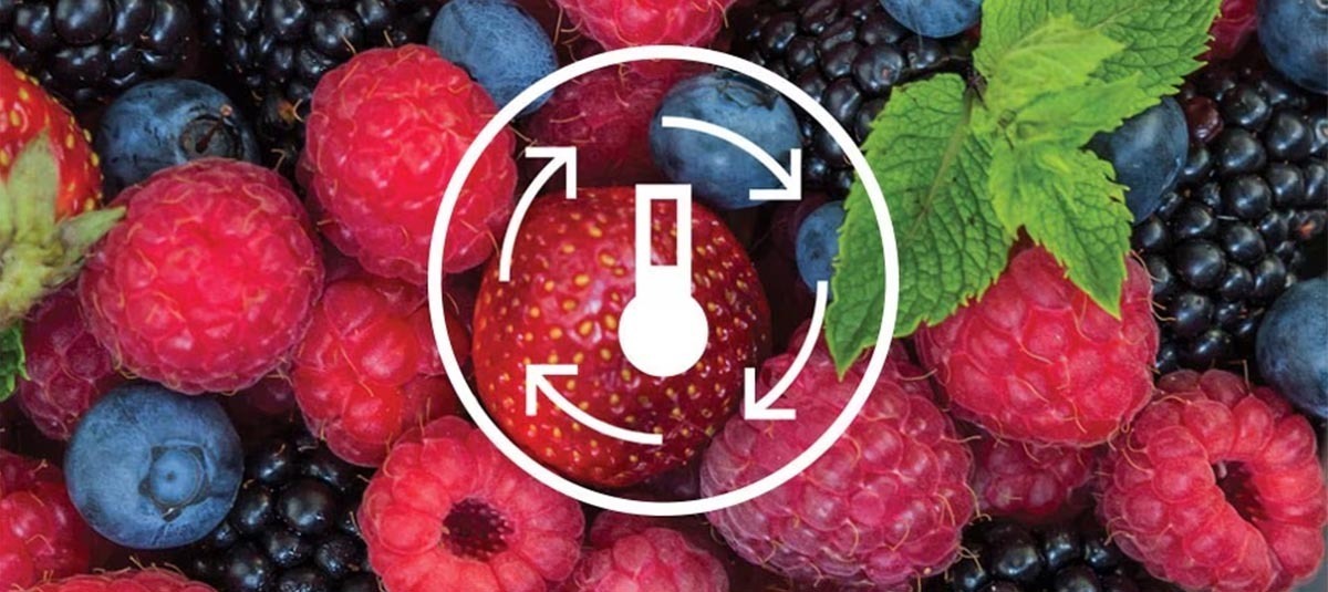 tủ lạnh electrolux inverter 341 lít etb3760m-h