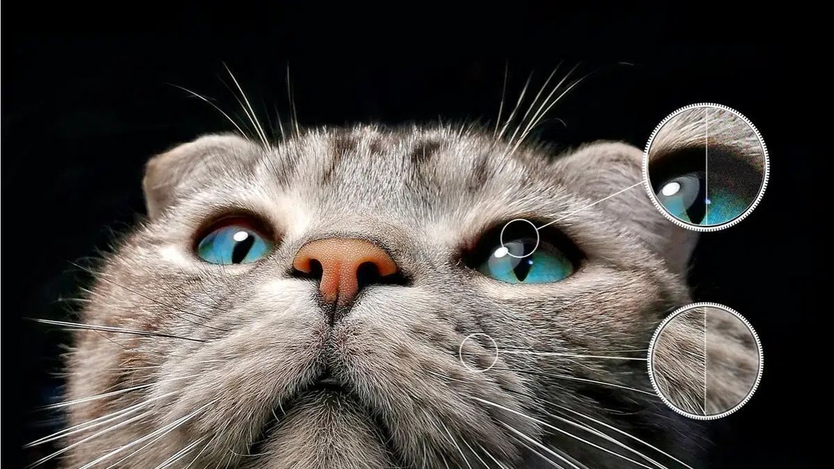 google tivi tcl qled 4k 55 inch 55c645