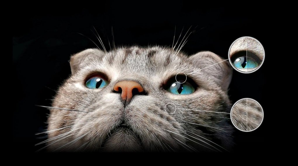 google tv qd-mini led tcl 4k 55 inch 55c755