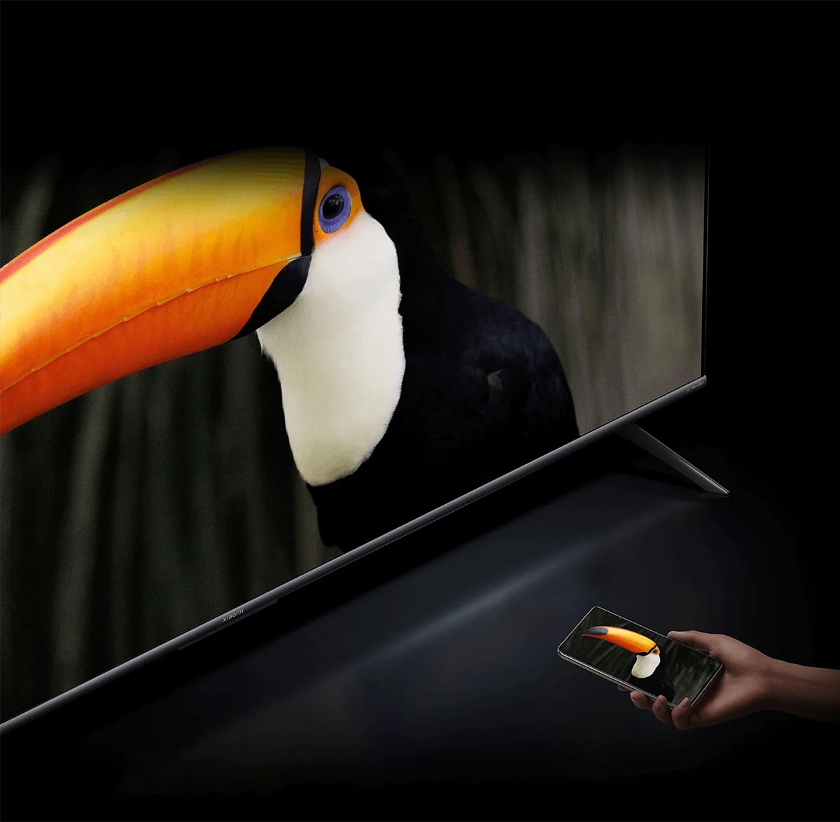 xiaomi smart display qd-mini led 4k 65 inch s l65ma-splea