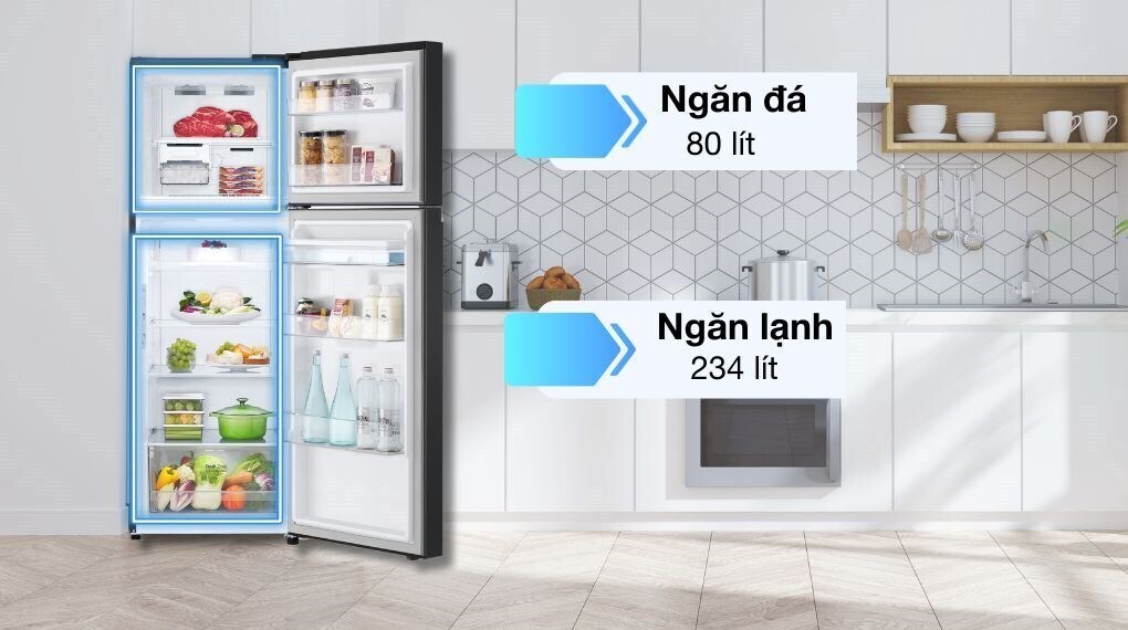 tủ lạnh lg inverter 314 lít ltd31blm